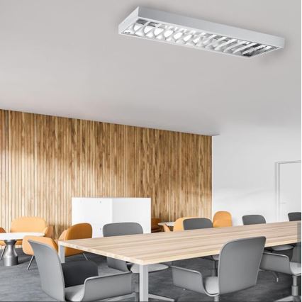 Fluorescentna lampa T8 2xG13/18W/230V 120 cm bela