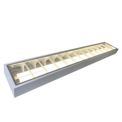 Fluorescentna lampa T8 2xG13/18W/230V 120 cm bela