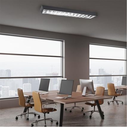 Fluorescentna lampa T8 2xG13/18W/230V 120 cm crno