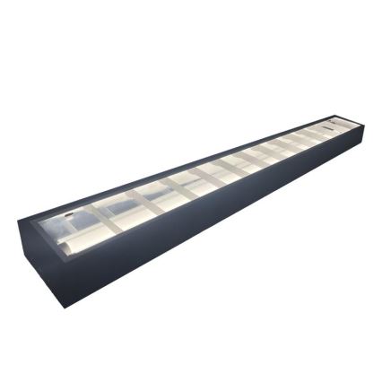 Fluorescentna lampa T8 2xG13/18W/230V 120 cm crno