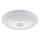 Fulgur 24120 - LED Plafonjera sa senzorom DARINA LED/12W/230V