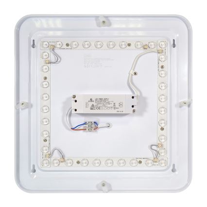 Fulgur 24313 - LED Plafonjera PAVLA STARS LED/36W/230V 2700K