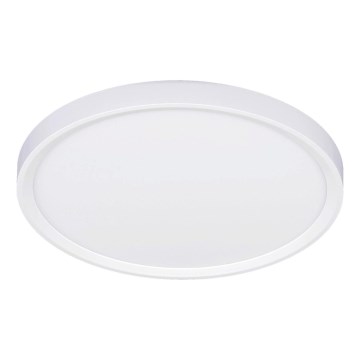 Fulgur 42361 - LED Plafonjera NOMY LED/24W/230V 3000/4000/6000K IP40 pr. 30 cm bela