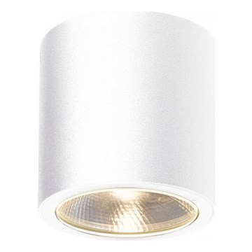 Gardino LX2236-COB - LED Spoljašnja reflektorska lampa LAVANDA LED/7W/230V IP54