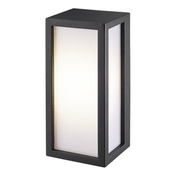 Gardino LX5705-LED - LED Spoljna zidna lampa BETULLA LED/18W/230V IP54