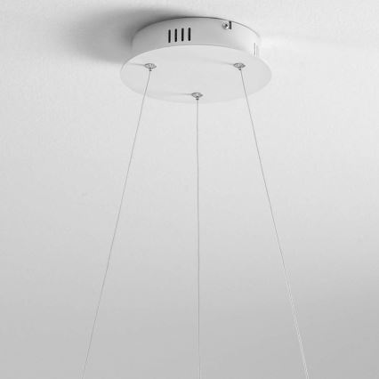 Gea Luce DIVA S G TITANIO - LED Prigušivi luster na sajli DIVA LED/44W/230V sivo