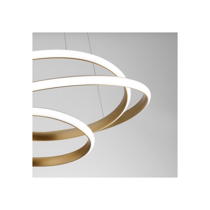 Gea Luce DIVA S P ORO - LED Prigušivi luster na sajli DIVA LED/43W/230V zlatna