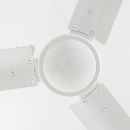 Globo - Plafonski ventilator