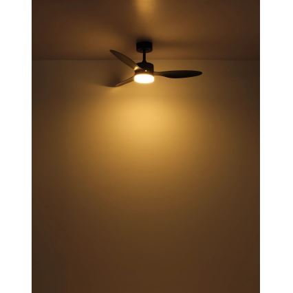 Globo - LED Prigušivi plafonski ventilator LED/20W/230V 2700-6500K + Daljinski upravljač