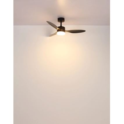 Globo - LED Prigušivi plafonski ventilator LED/20W/230V 2700-6500K + Daljinski upravljač