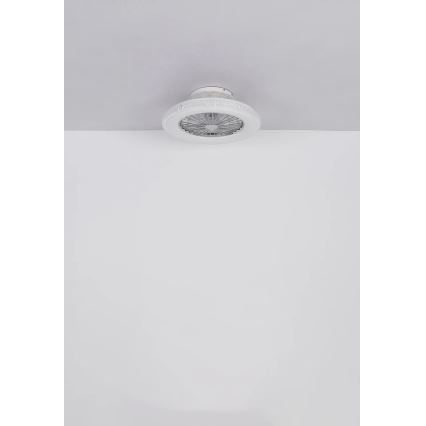 Globo - LED Prigušivi plafonski ventilator LED/40W/230V 3000-6500K + Daljinski upravljač