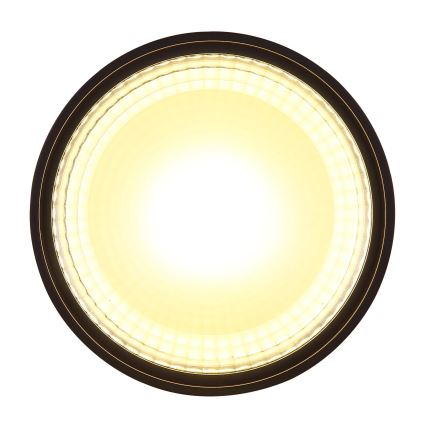 Globo - LED Plafonjera LED/12W/230V 3000K