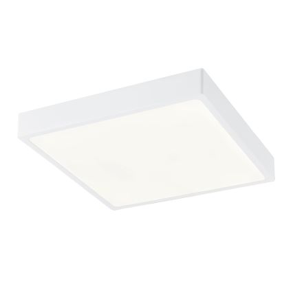 Globo - LED Prigušiva plafonjera LED/28W/230V