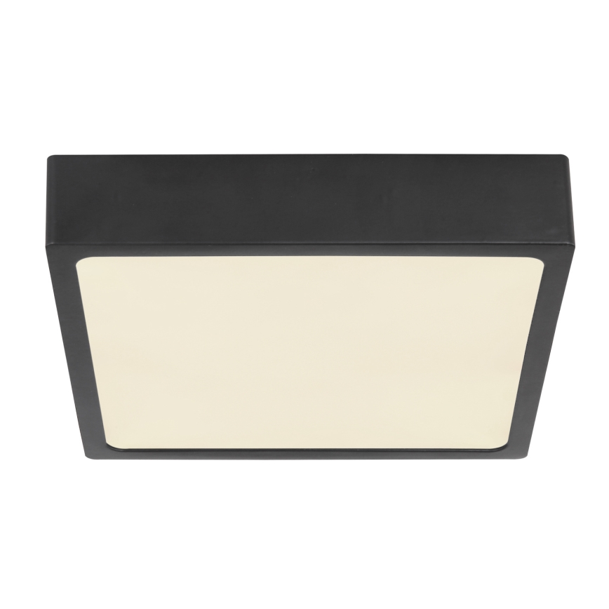 Globo - LED Plafonjera LED/15W/230V