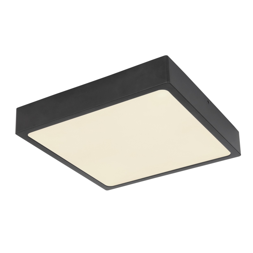 Globo - LED Plafonjera LED/22W/230V