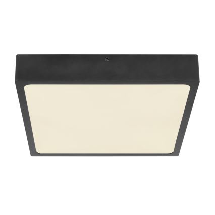 Globo - LED Plafonjera LED/22W/230V