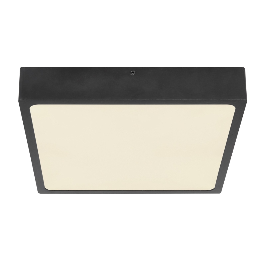Globo - LED Plafonjera LED/22W/230V