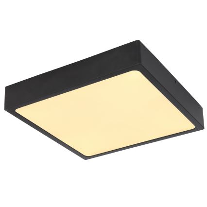 Globo - LED Plafonjera LED/22W/230V
