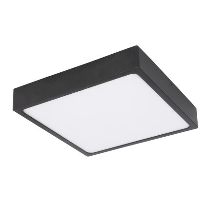 Globo - LED Plafonjera LED/22W/230V