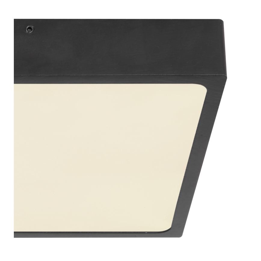 Globo - LED Plafonjera LED/22W/230V