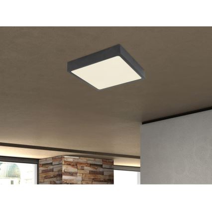 Globo - LED Plafonjera LED/28W/230V