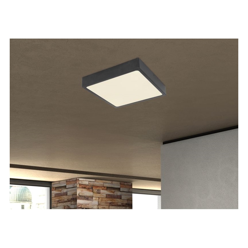 Globo - LED Plafonjera LED/28W/230V