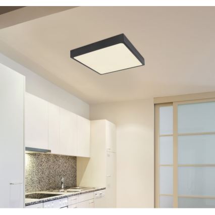 Globo - LED Plafonjera LED/28W/230V