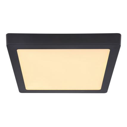 Globo - LED Plafonjera LED/22W/230V