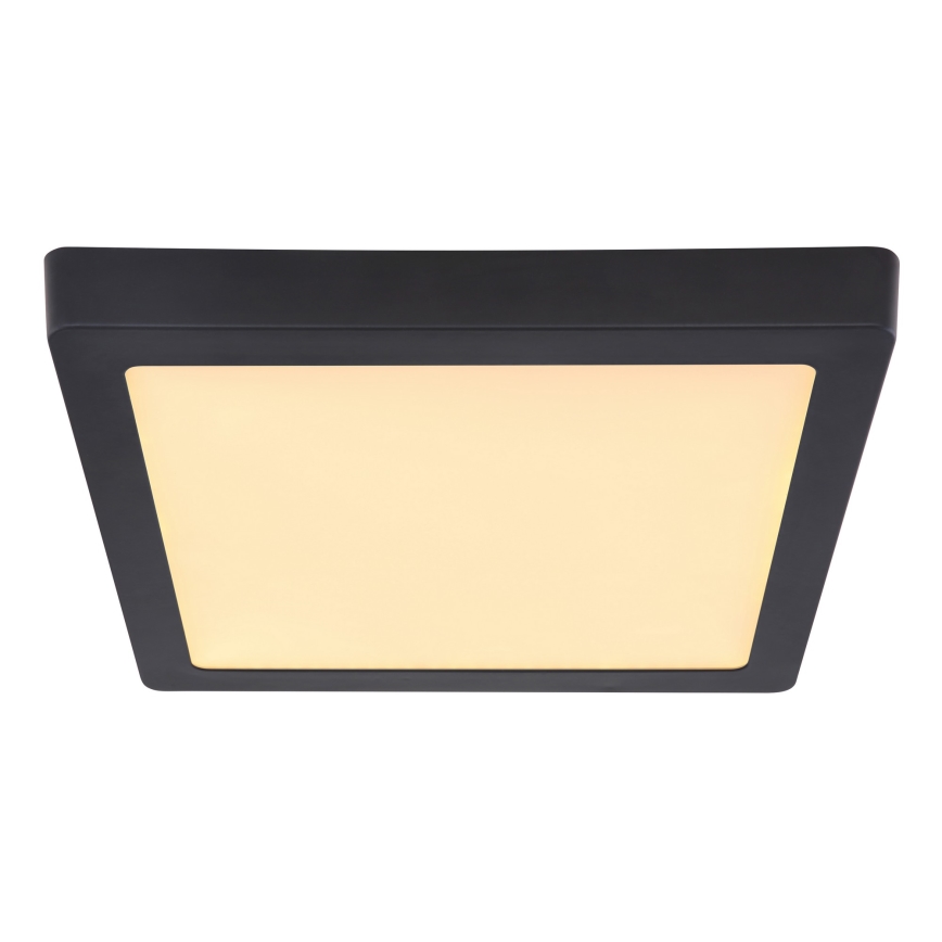 Globo - LED Plafonjera LED/22W/230V