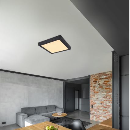 Globo - LED Plafonjera LED/22W/230V