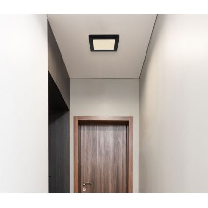 Globo - LED plafonsko svetlo LED/12W/230V 3000/4000/6500K crna