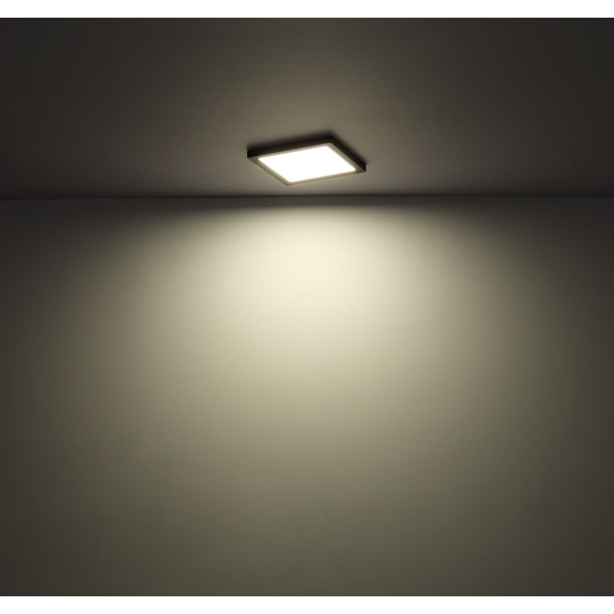 Globo - LED plafonsko svetlo LED/12W/230V 3000/4000/6500K crna