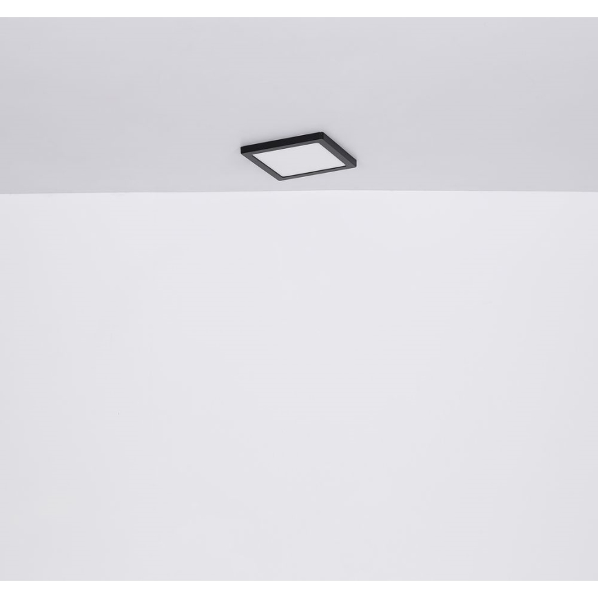 Globo - LED plafonsko svetlo LED/12W/230V 3000/4000/6500K crna