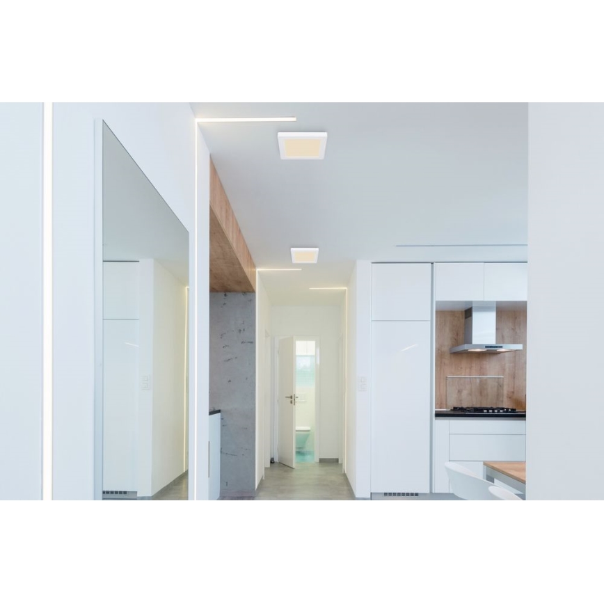 Globo - LED stropna svetiljka LED/12W/230V 3000/4000/6500K bela