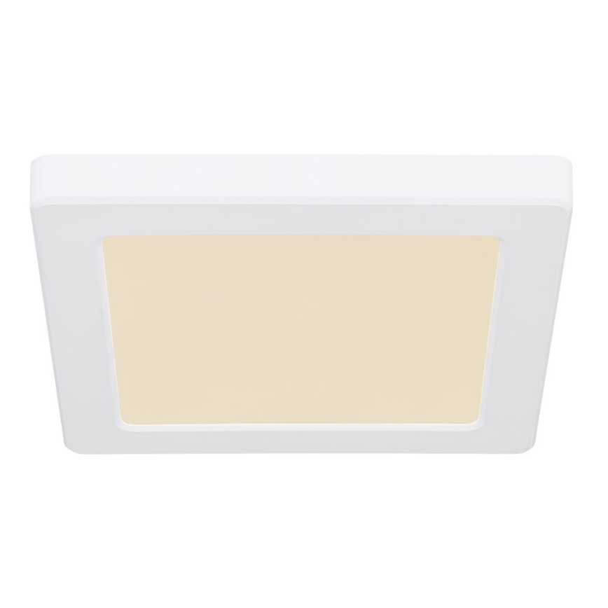 Globo - LED stropna svetiljka LED/12W/230V 3000/4000/6500K bela