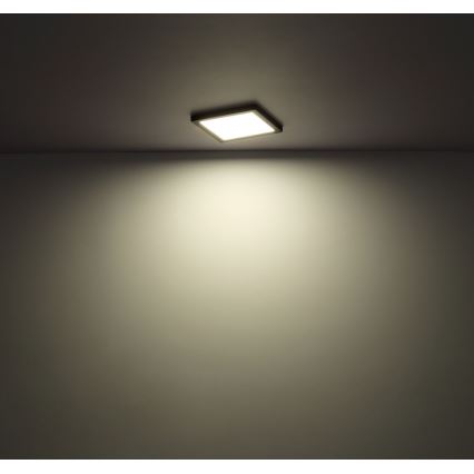 Globo - LED plafonsko svetlo LED/24W/230V 3000/4000/6500K crno