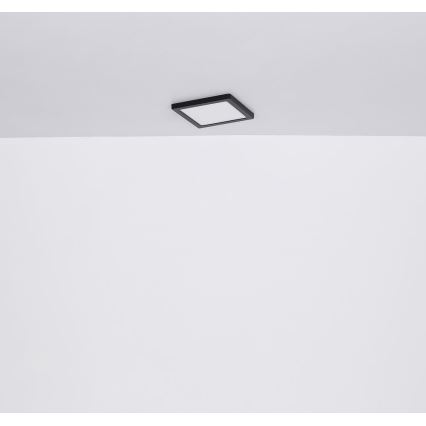 Globo - LED plafonsko svetlo LED/24W/230V 3000/4000/6500K crno