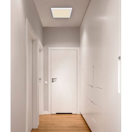 Globo - LED stropna plafonjera LED/24W/230V 3000/4000/6500K bela
