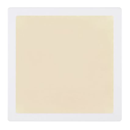 Globo - LED stropna plafonjera LED/24W/230V 3000/4000/6500K bela