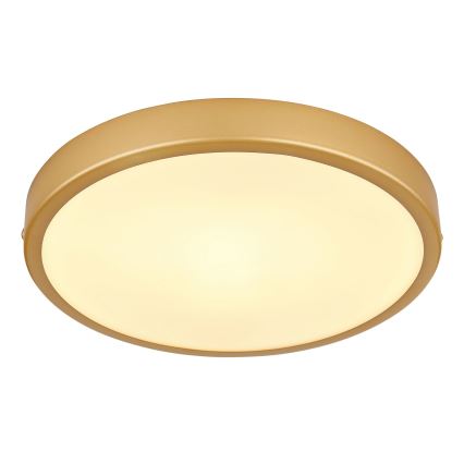 Globo - LED Plafonjera LED/15W/230V pr. 25 cm
