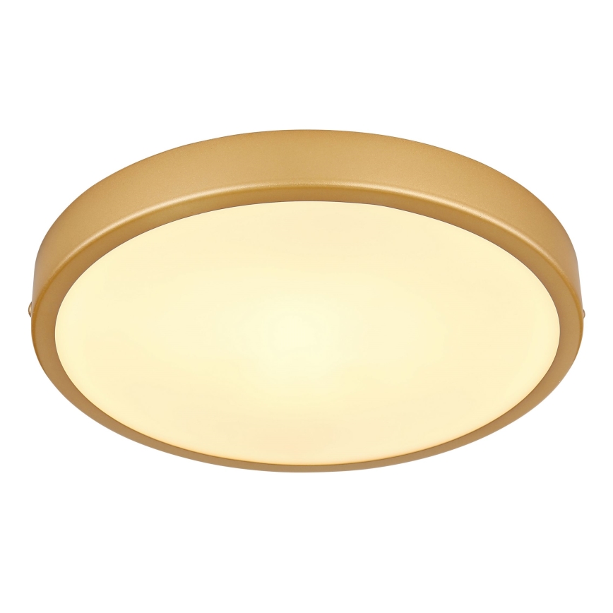 Globo - LED Plafonjera LED/15W/230V pr. 25 cm
