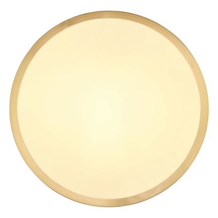 Globo - LED Plafonjera LED/15W/230V pr. 25 cm