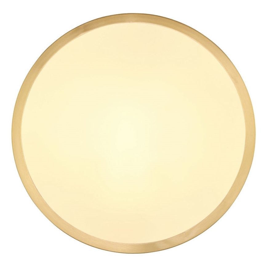 Globo - LED Plafonjera LED/15W/230V pr. 25 cm