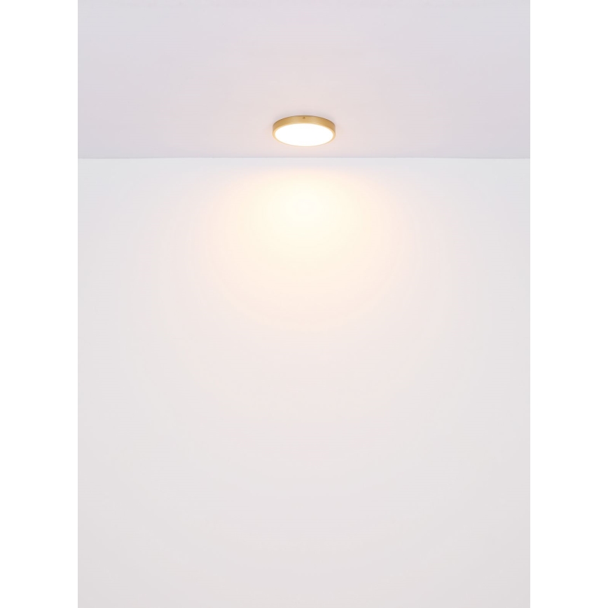 Globo - LED Plafonjera LED/22W/230V pr. 35 cm