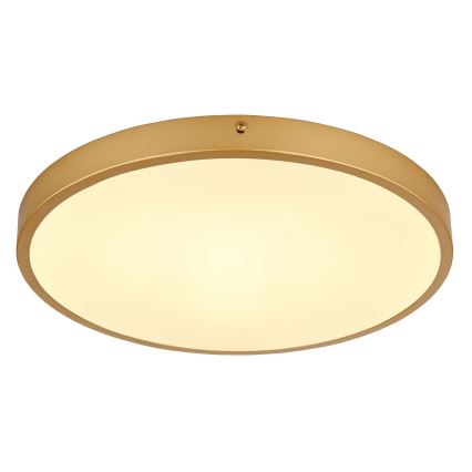 Globo - LED Plafonjera LED/22W/230V pr. 35 cm