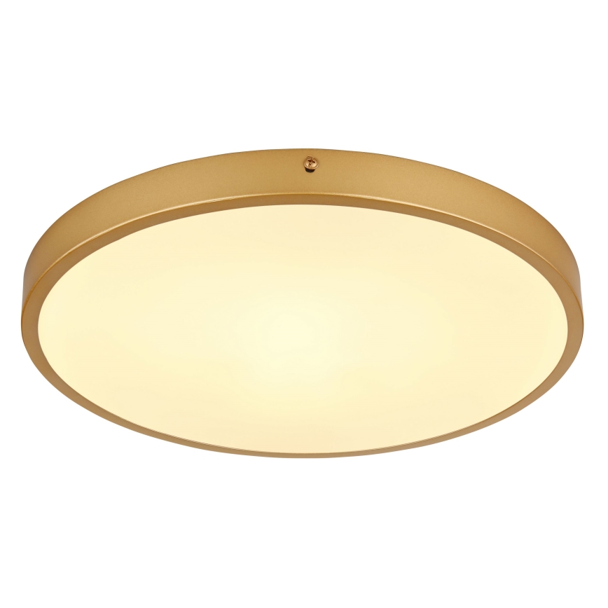 Globo - LED Plafonjera LED/22W/230V pr. 35 cm