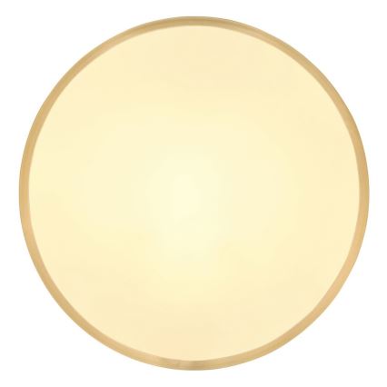 Globo - LED Plafonjera LED/22W/230V pr. 35 cm