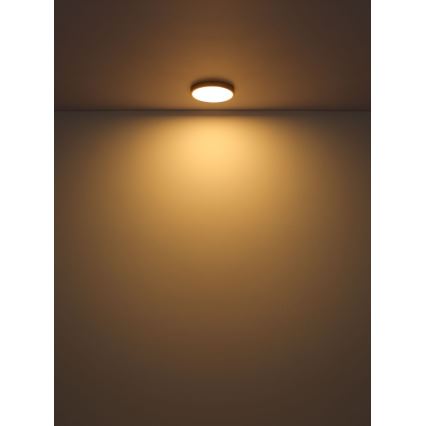 Globo - LED Plafonjera LED/30W/230V pr. 45 cm