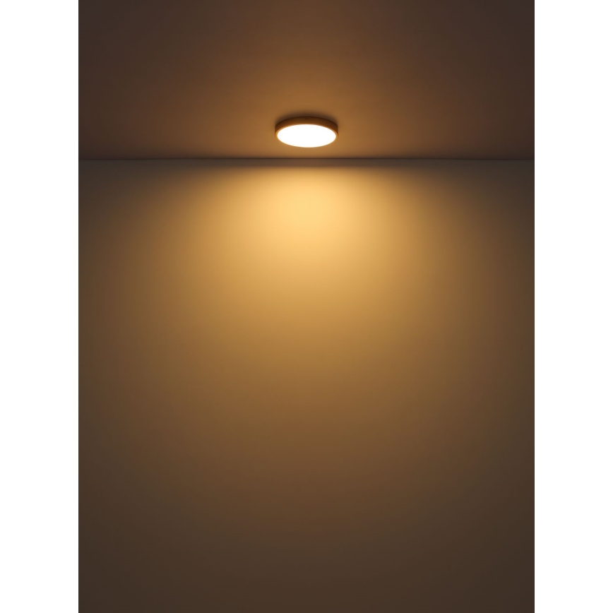 Globo - LED Plafonjera LED/30W/230V pr. 45 cm