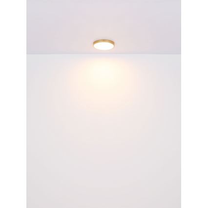 Globo - LED Plafonjera LED/30W/230V pr. 45 cm